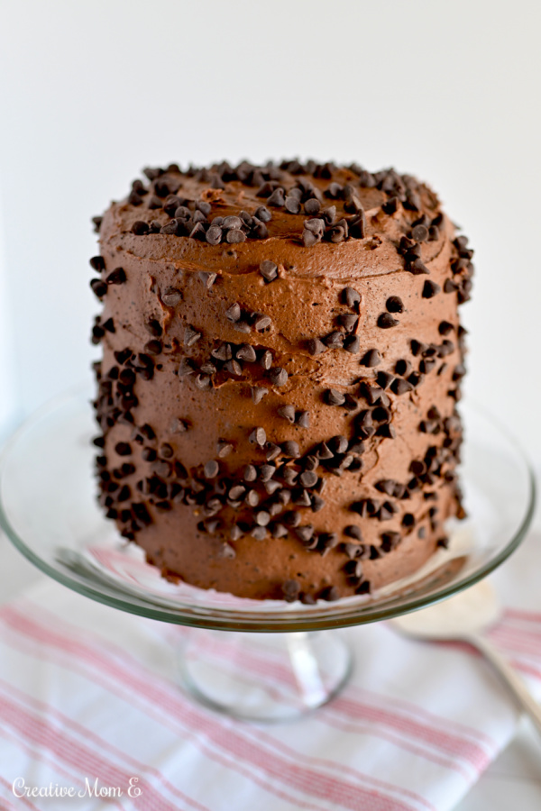Chocolate round cake with chocolate chips on a clear cake dish. 