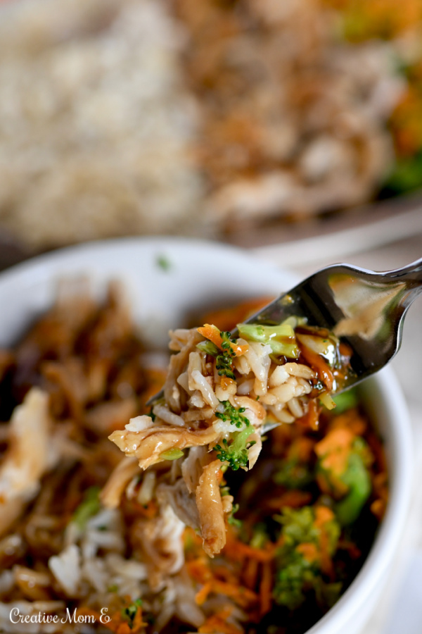 A fork filled with the chicken teriyaki vegetable dinner.