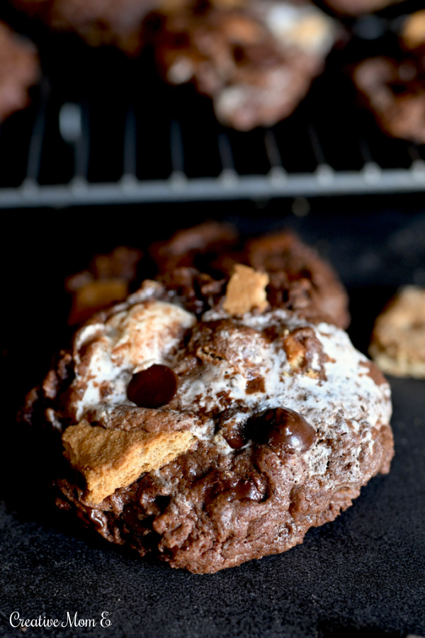 Chocolate marshmallow fudge cookies with graham cracker pieces. 